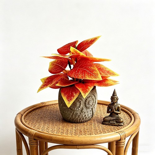 Pour bureau plante - de, lierre