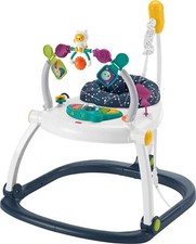 Fisher-Price Baby Bouncer