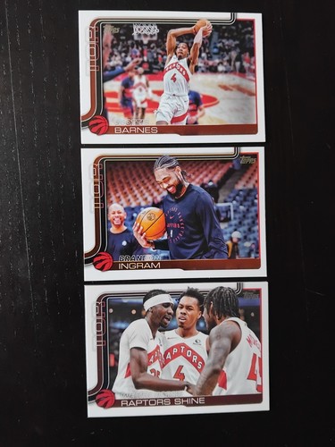 Lot cartes toronto raptors - 10,