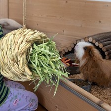 Cage de paille suspendue lit