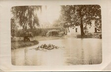 Carte PHoto à identifier Propriété parc avec pièce d'eau Homme et son chien  