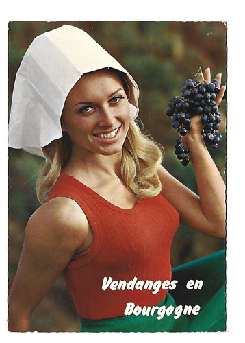 Vendanges en bourgogne - ,