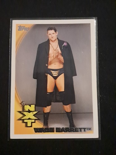 Carte topps wwe - wwe, wade