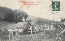 CP MORVAN ILLUSTRE RENTREE FOIN - ATTELAGE BOEUFS - TACHEE - 28965