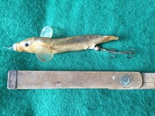 RARE véritable poisson sous résine