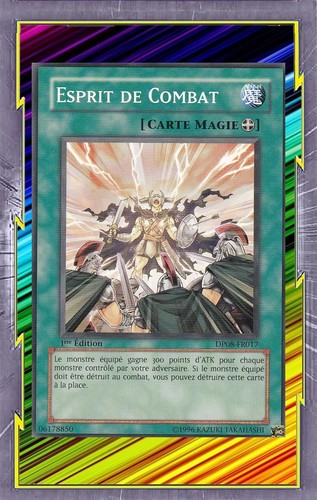 Esprit combat dp08 fr017 - de, dp08-fr017