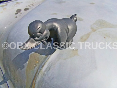 Photo 8x10 - photo:, angry