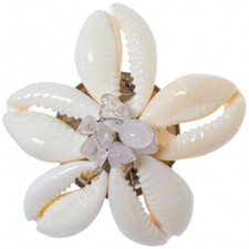 Broche coquillages cauris avec