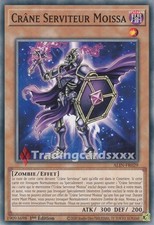 Yu-Gi-Oh! Crâne Serviteur