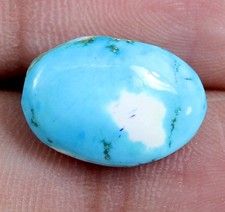 Bleu Turquoise 9.20 CT Forme