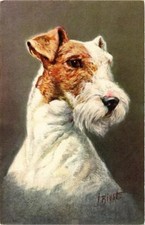 CPA AK Airedale Terrier DOGS (729233)