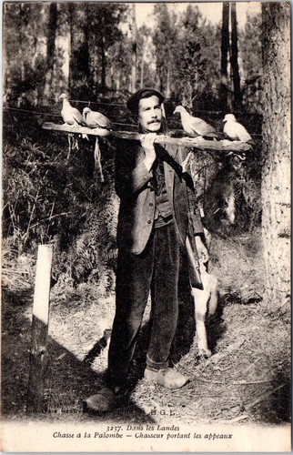 Dans les landes chasse - 40,