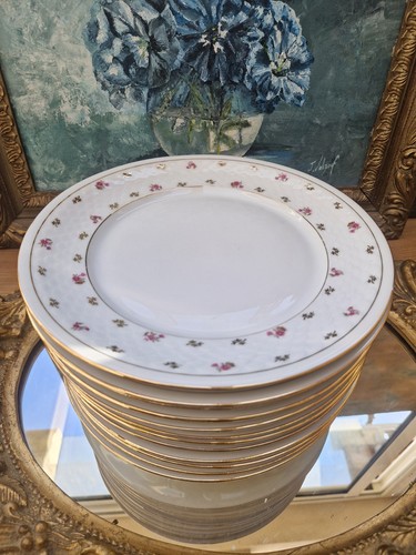 Assiettes plates en - plates,