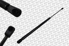 VéRIN DE COFFRE / HAYON