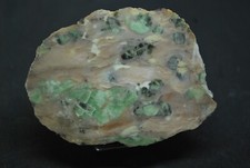 VERT D'OREZZA  ( HAUTE CORSE )