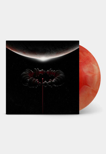 Muse the wow signal - wow!, (2026)