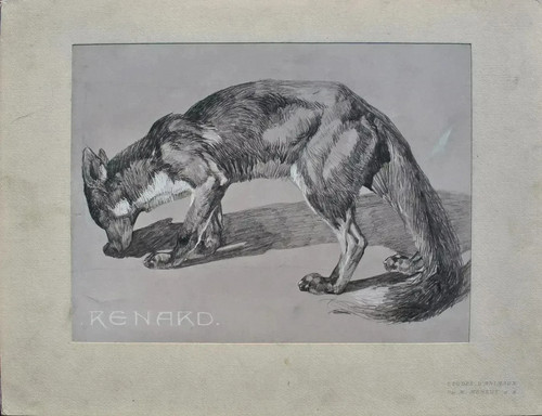 Mathurin meheut renard et - meheut,