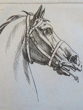 Jacques François Joseph SWEBACH (1769-1823) GRAVURE PORTRAIT CHEVAL NEOCLASSIQUE