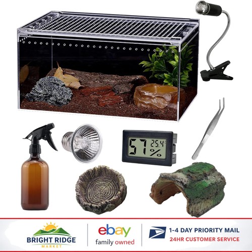 Reptile terrarium starter - starter, kit