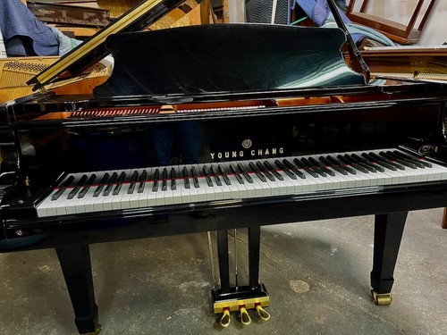 Young chang g185 pramberger - g185,