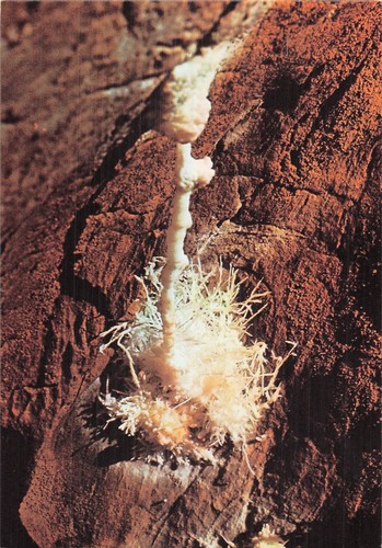 Courniou grotte la - de,