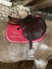 Tapis chevaux freejump - tapis,