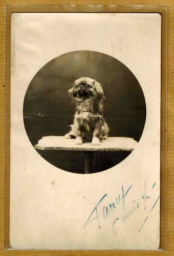 Carte photo vintage card rppc - carte,
