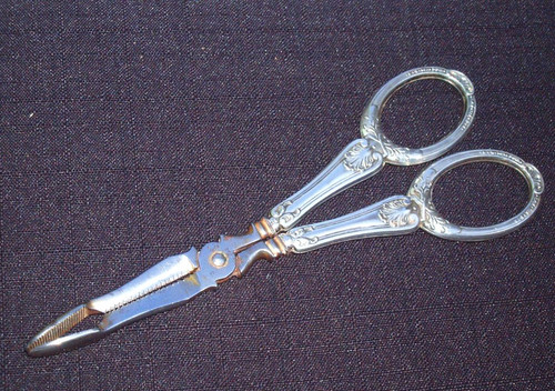 Ciseaux pince sucre en - sucre,