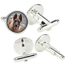 Malinois Berger Belge Boutonnière Pour Manches Dans Une Boîte