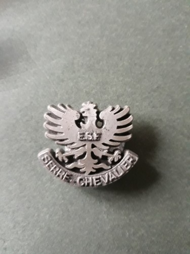 Insigne ski esf serre - insigne,