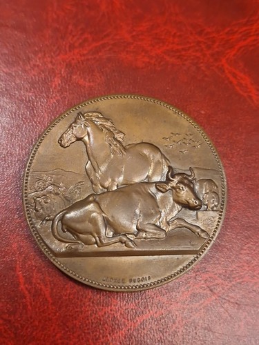 Médaille bronze cheval - en,