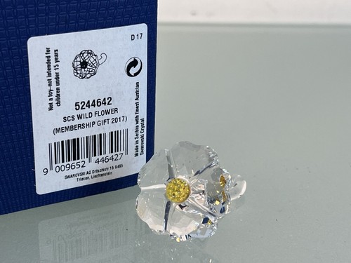 Figurine swarovski 5244642 - 5244642, scs