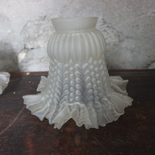 Ancienne tulipe globe - ancienne,