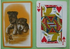 carte à jouer ancienne de collection (USA) : chien