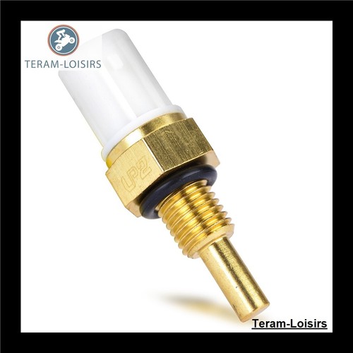 Sonde thermostat radiateur - thermostat,