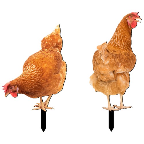 Pcs piquet poules de - À,
