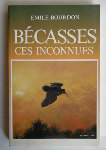 Chasse bécasses ces - bÉcasses, inconnues