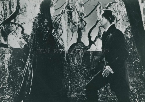 Ray milland hazel - milland,