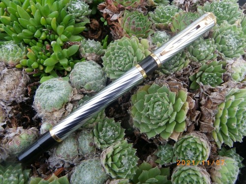 Stylo roller waterman laureat - waterman,