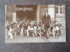 CPA Chiens Courants - Batards Anglo-Français