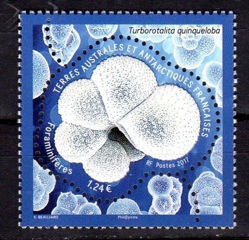 Timbre taaf 804 - timbre, n°804