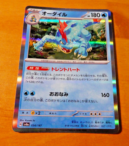 Pokemon japanese holo card - holo,