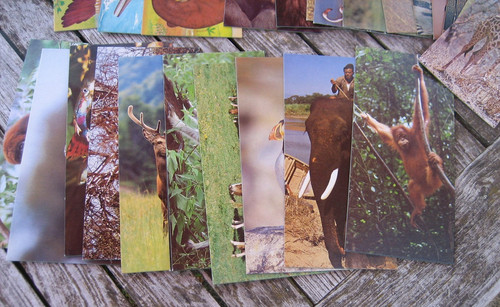 Nestlé lot cartes - lot, 26