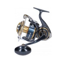 DAIWA 20 Saltiga(G) 8000-H