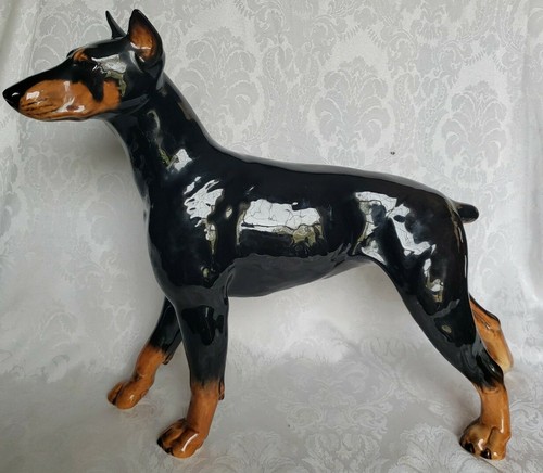 Rare goebel large - doberman, dog