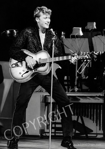 Photo johnny hallyday - a4,