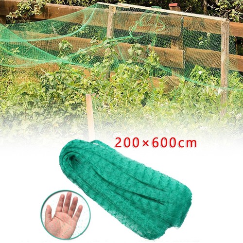 Filet anti oiseaux jardin x - filet,