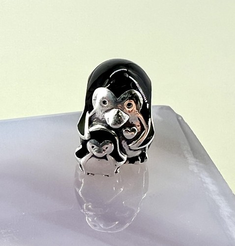 Pandora charm argent famille - pandora,