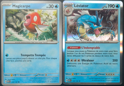 Lot cartes pokémon - cartes, magicarpe