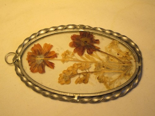 Vintage dried flower flowers - dried,
